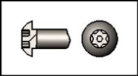 Torx Head with Pin